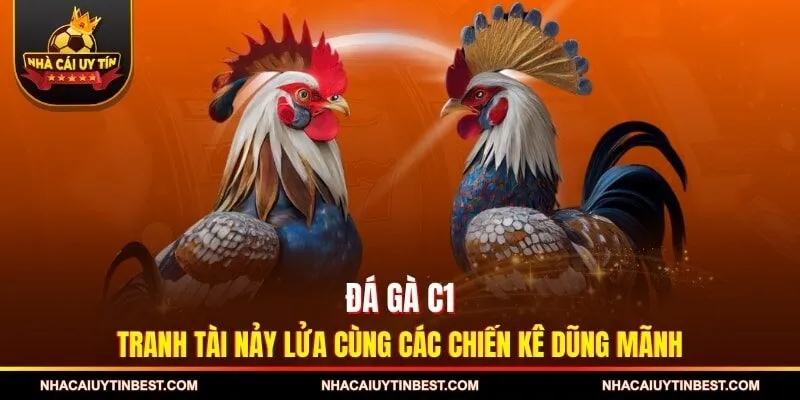 Đá Gà C1 - Tranh Tài Nảy Lửa Cùng Các Chiến Kê Dũng Mãnh